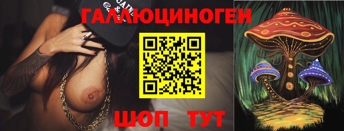 Псилоцибиновые грибы Psilocybe Звенигород